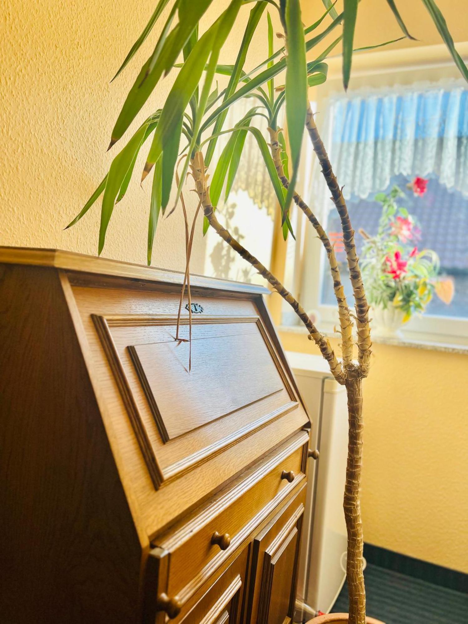 Lünen Tm Hotel Westfalen מראה חיצוני תמונה